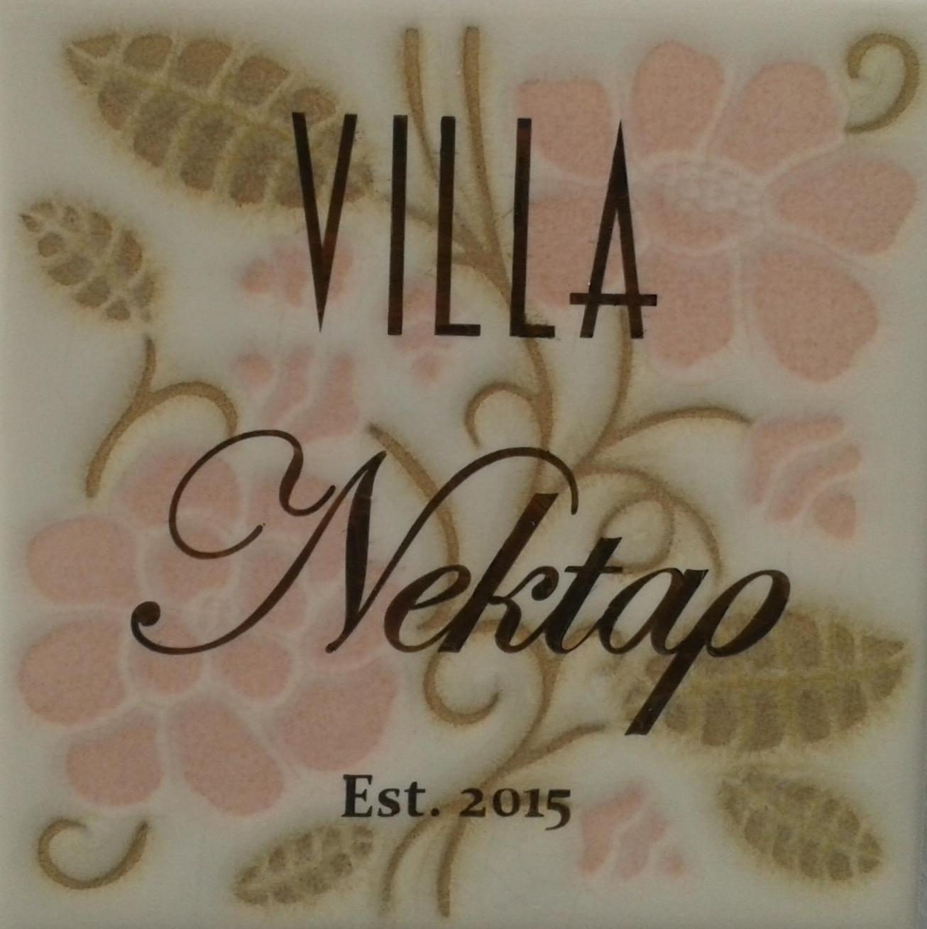 Villa Nektar, Luxury Apartment In Chora Naxos Naxos City Ngoại thất bức ảnh